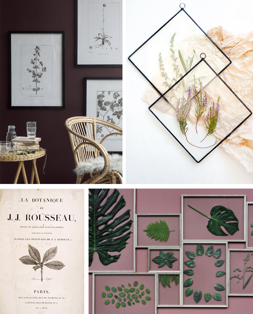 Herbiers sous verre • Les Bons Détails