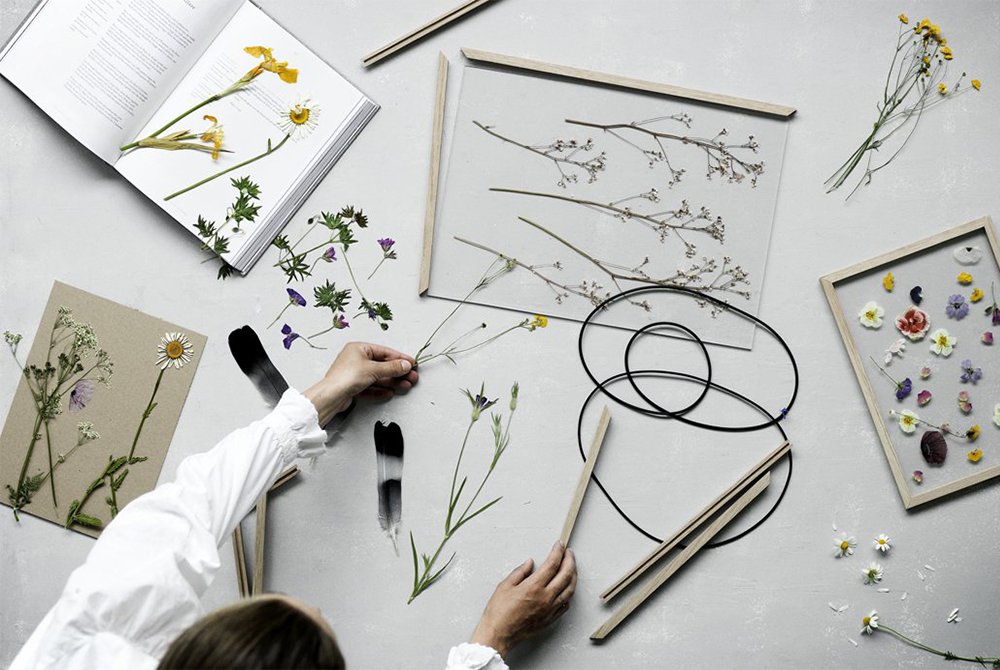 Herbiers sous verre • Les Bons Détails