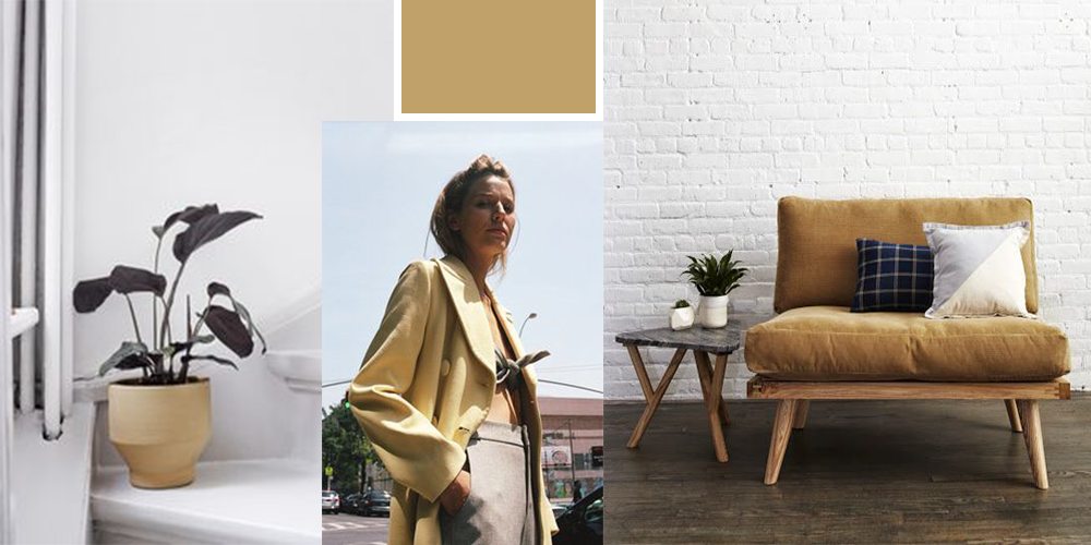 Cumin indien • Les Bons Détails