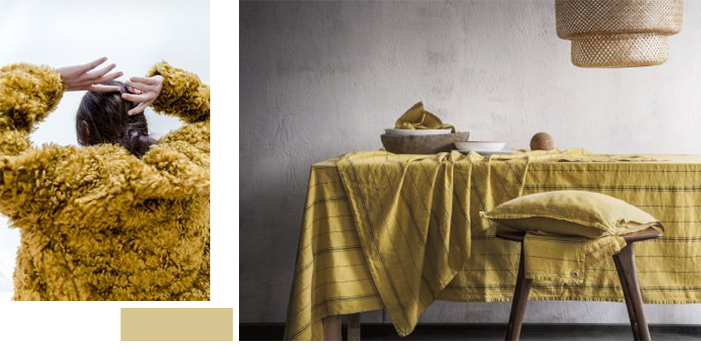 Cumin indien • Les Bons Détails