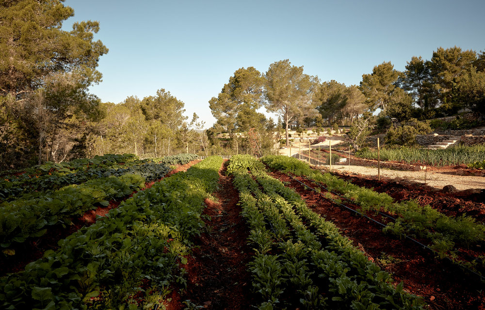 La Granja Ibiza • Les Bons Détails