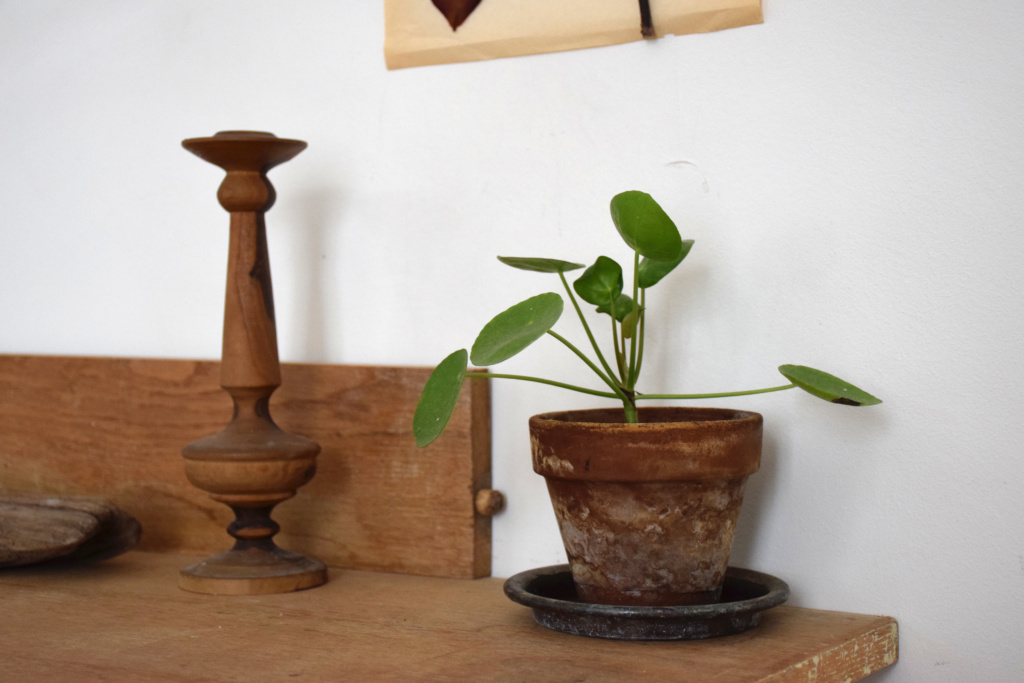 La bonne rencontre : Sachiko, créatrice d'Epistémie, la marque de bijoux made in Paris. © Les Bons Détails