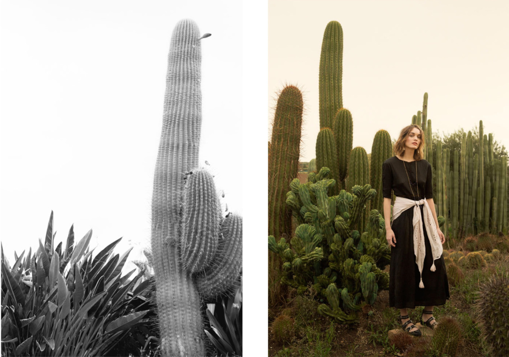 L'oasis de Pomandère • Les Bons Détails