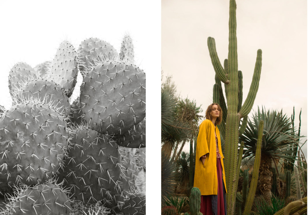 L'oasis de Pomandère • Les Bons Détails