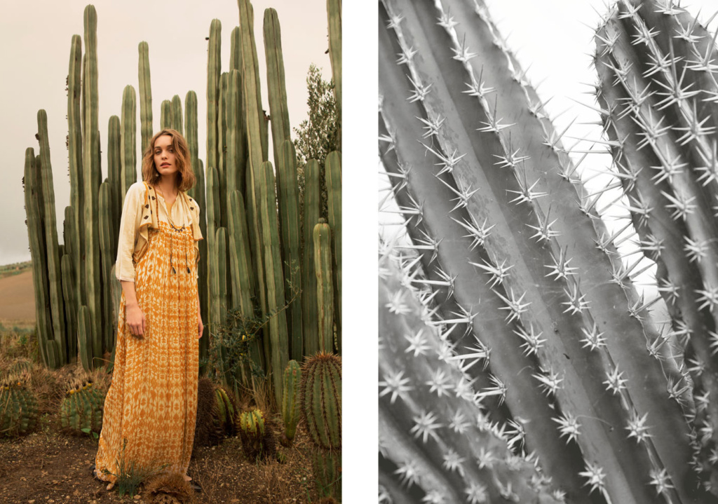 L'oasis de Pomandère • Les Bons Détails