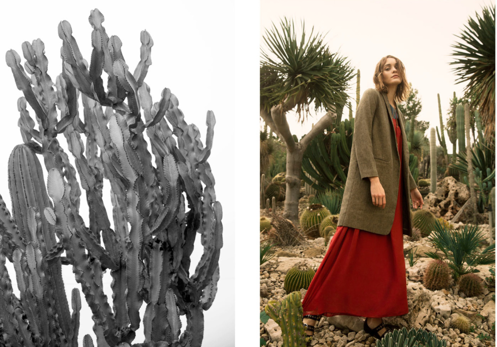 L'oasis de Pomandère • Les Bons Détails