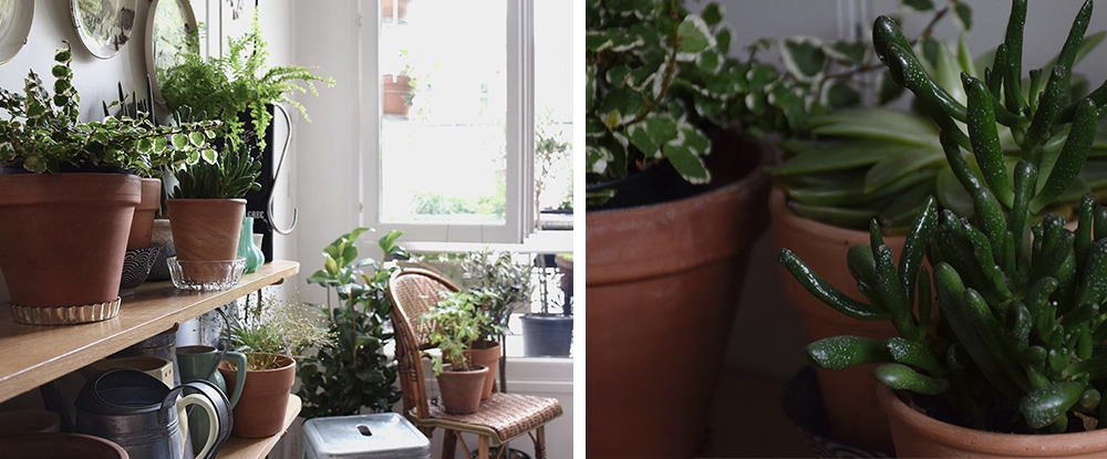 La bonne rencontre : Rebecca de Jardinière Sauvage, Paris • © Les Bons Détails