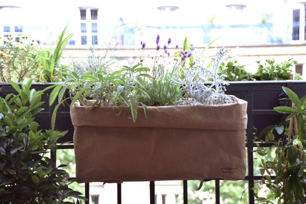 La bonne rencontre : Rebecca de Jardinière Sauvage, Paris • © Les Bons Détails