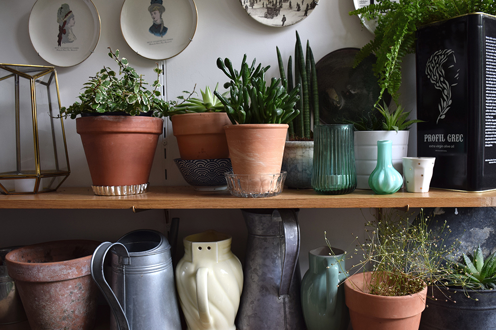 La bonne rencontre : Rebecca de Jardinière Sauvage, Paris • © Les Bons Détails