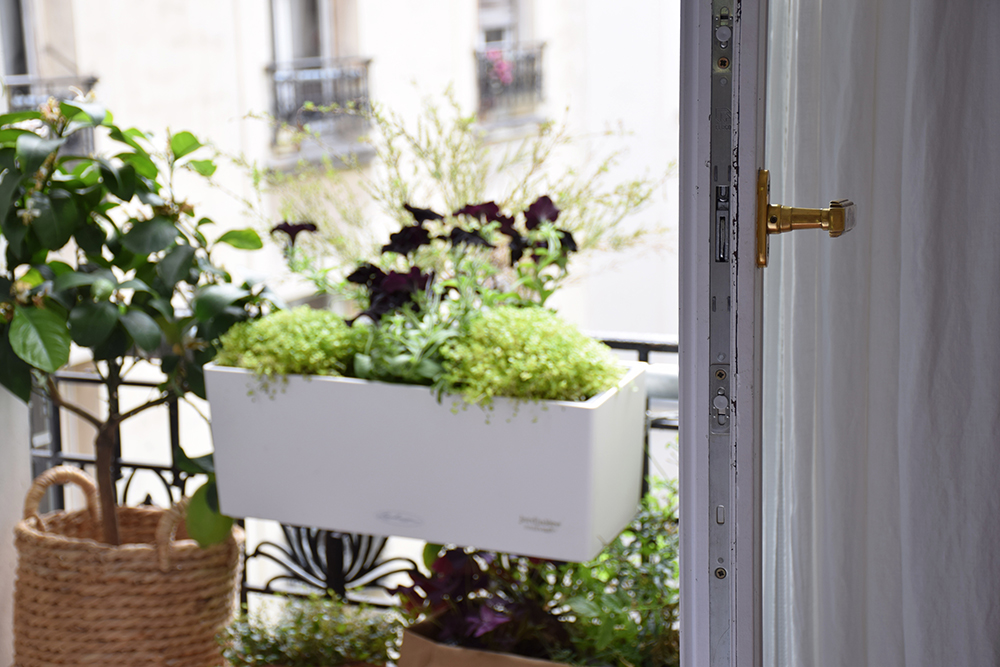 La bonne rencontre : Rebecca de Jardinière Sauvage, Paris • © Les Bons Détails