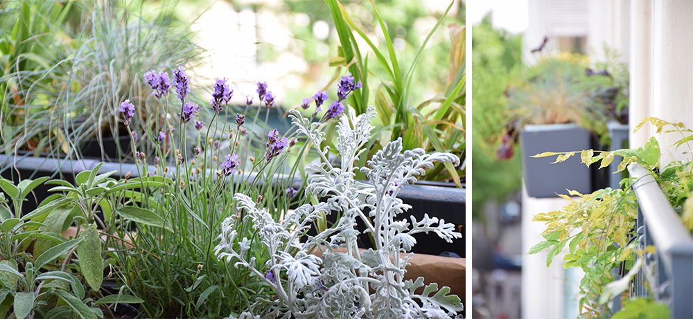 La bonne rencontre : Rebecca de Jardinière Sauvage, Paris • © Les Bons Détails