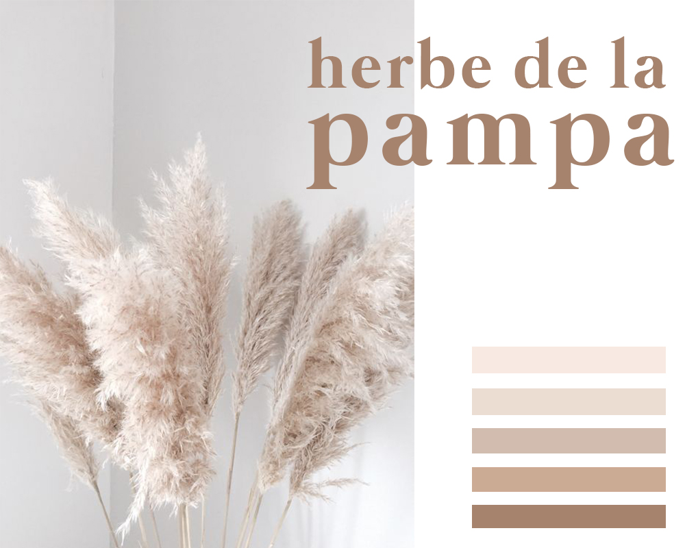 Herbe de la Pampa • Les Bons Détails