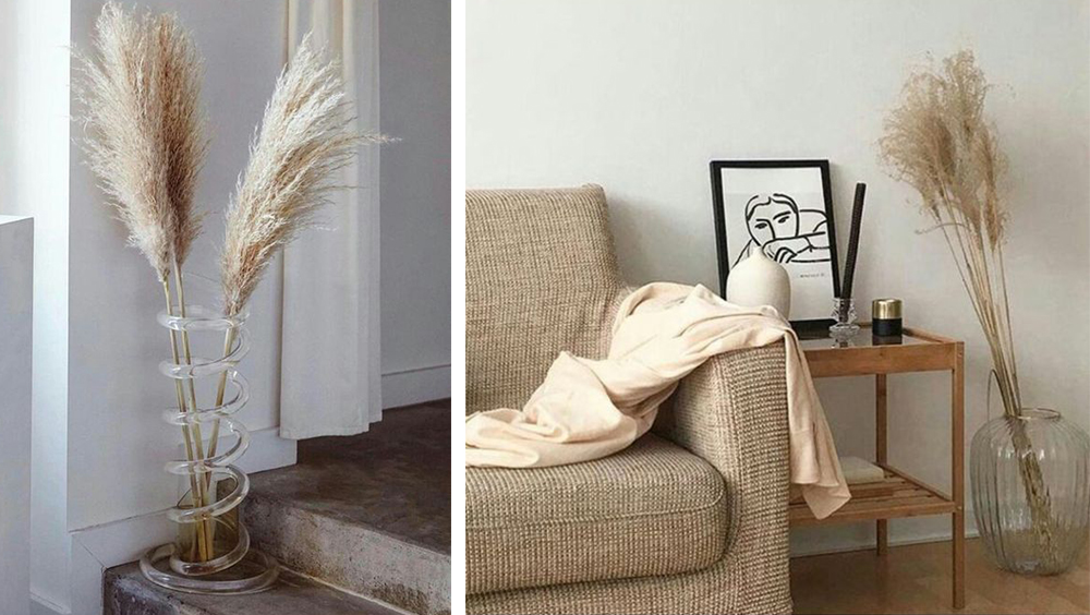 L'Herbe de la Pampa • Les Bons Détails