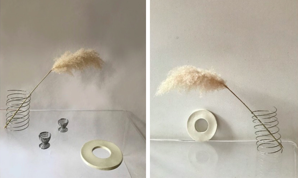 Herbe de la Pampa • Les Bons Détails