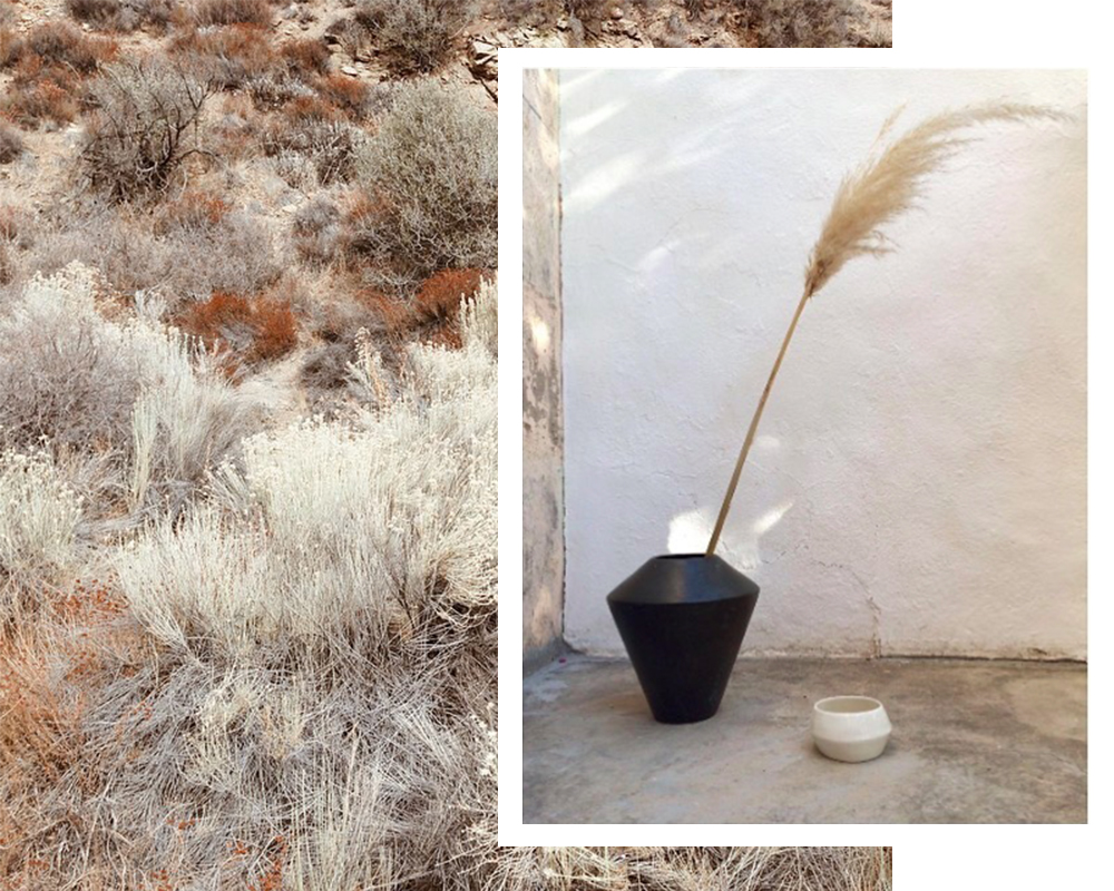 Herbe de la Pampa • Les Bons Détails