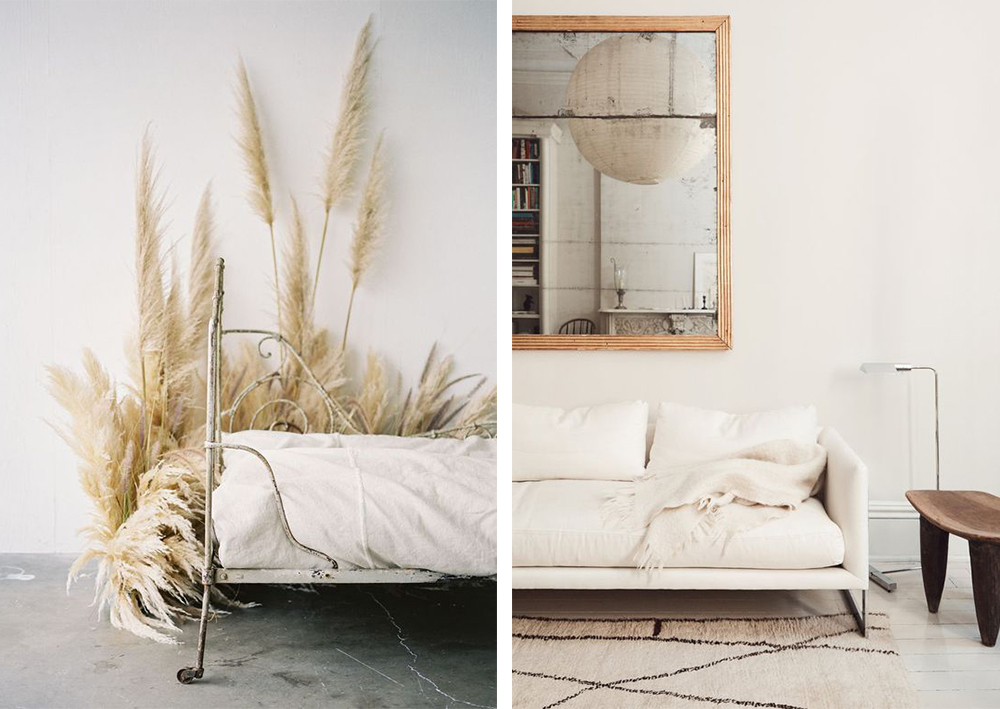 Herbe de la Pampa • Les Bons Détails