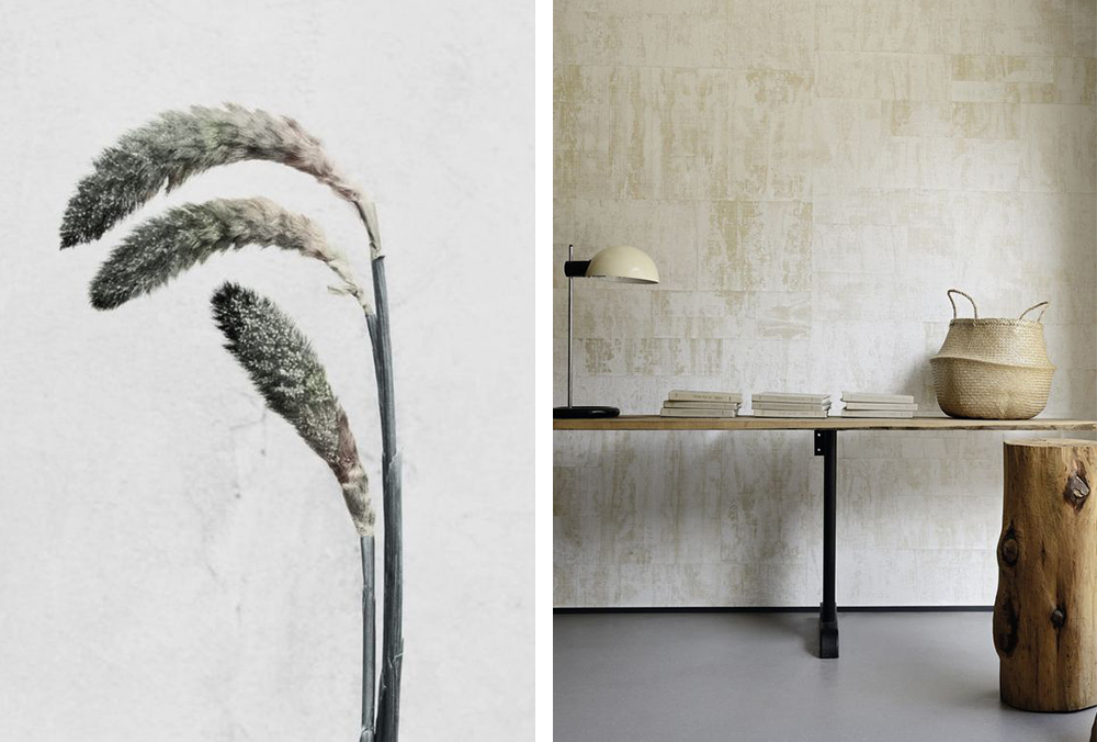 Herbe de la Pampa • Les Bons Détails