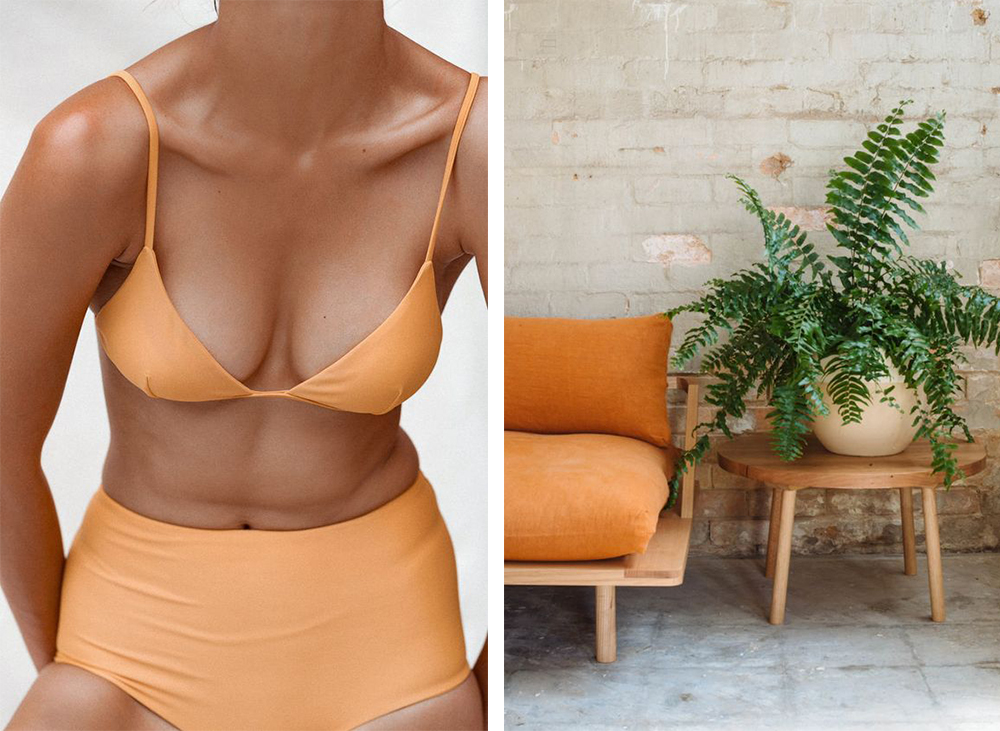 Nuancier agrume • Les Bons Détails