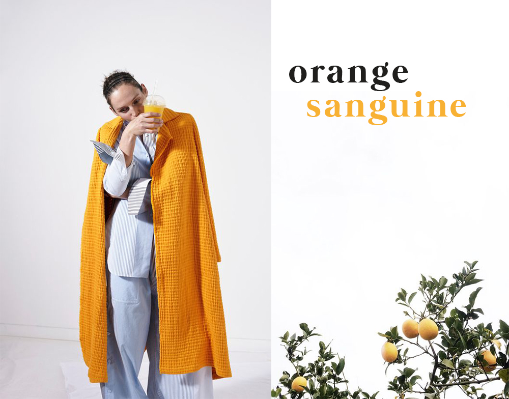 Nuancier agrume • Les Bons Détails