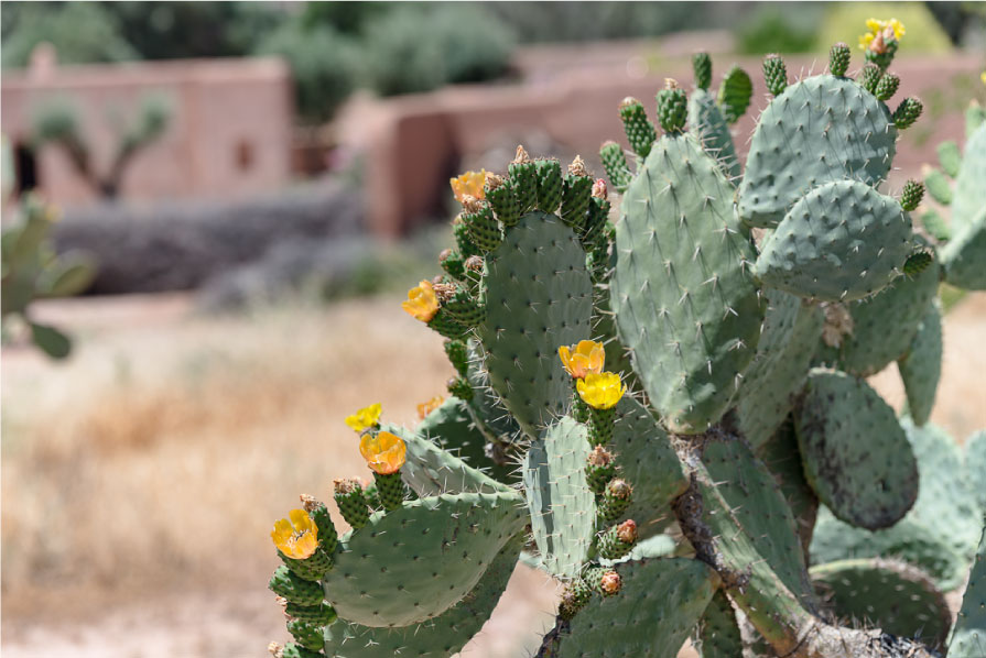 Le Berber Lodge • Les Bons Détails / Photo ©Mr Tripper