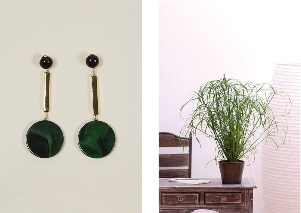 Papyrus Paradise • Les Bons Détails